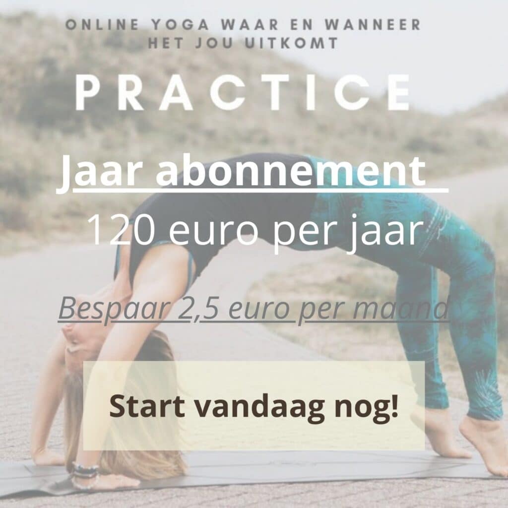 Thuisyogacursus jaarabonnement call to action knop website.